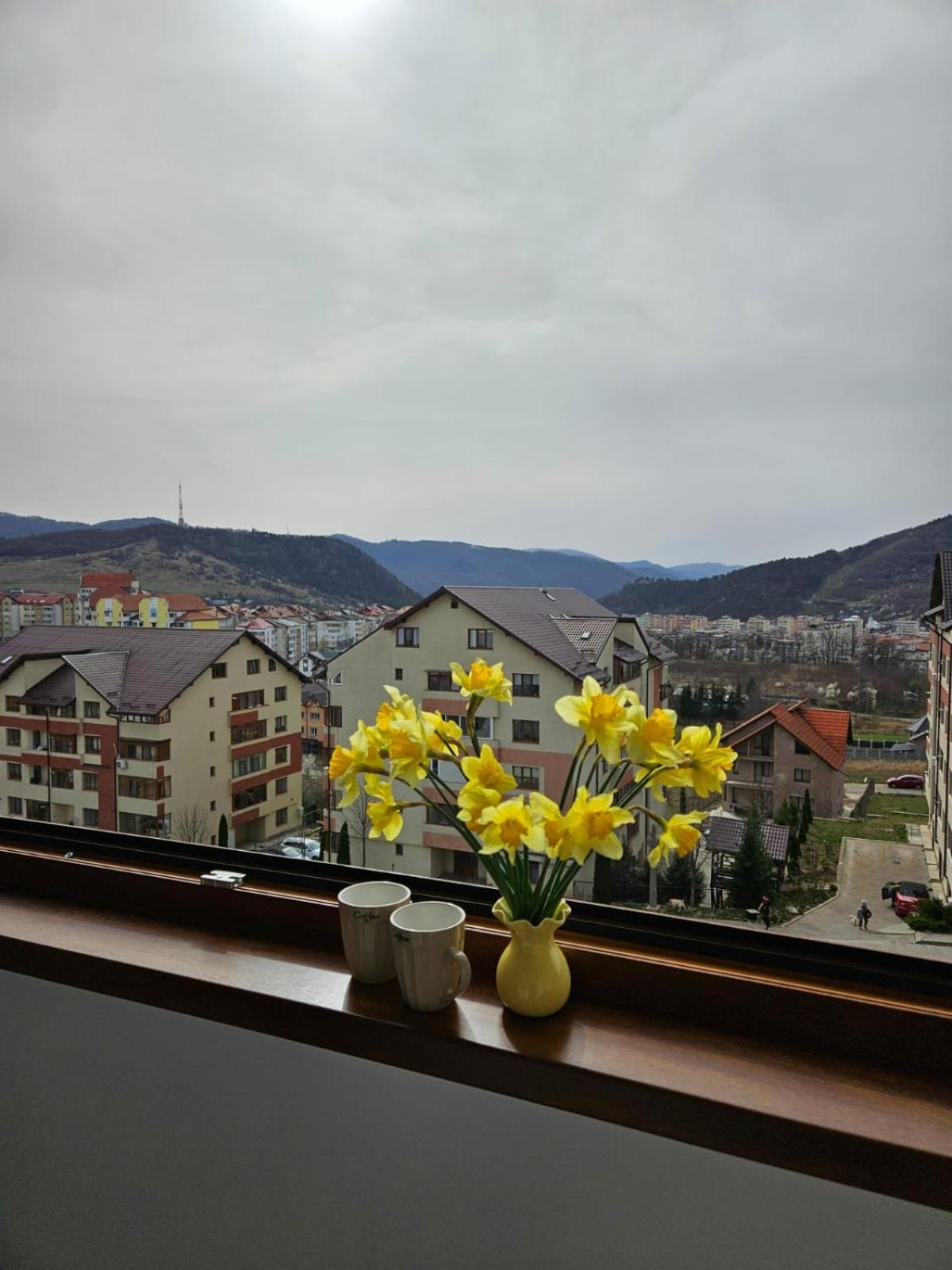 Tei Residence Piatra Neamţ Екстериор снимка